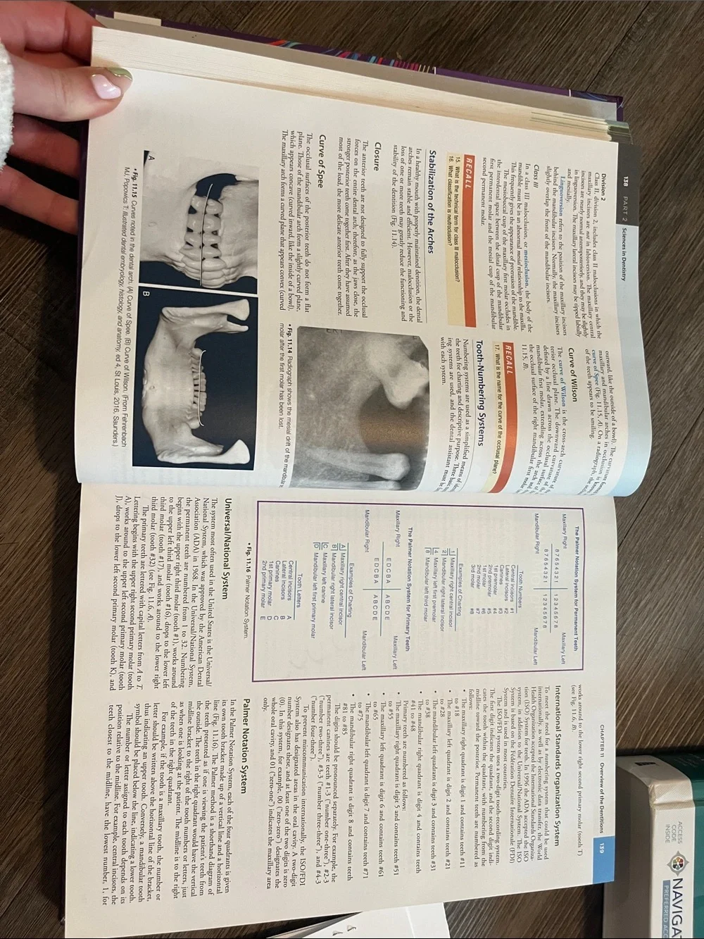 Doni L. Bird Modern Dental Assisting Textbook - Purple